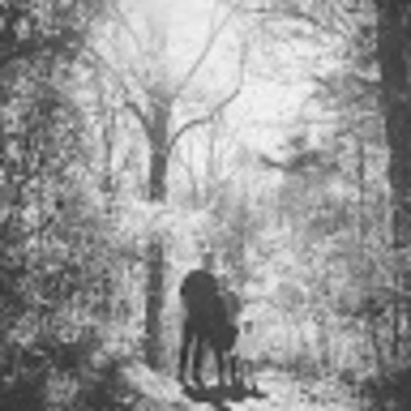 Meet your Posher, Jamie - Picture 1 of 1